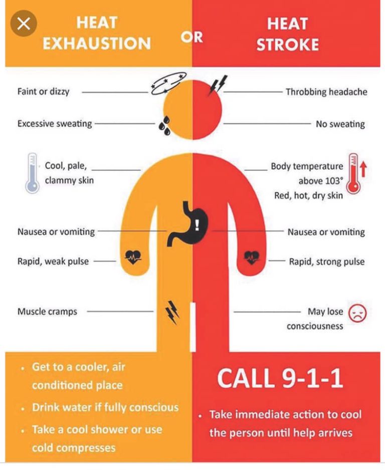 Authorities Declare Heat Advisory East Ridge News Online